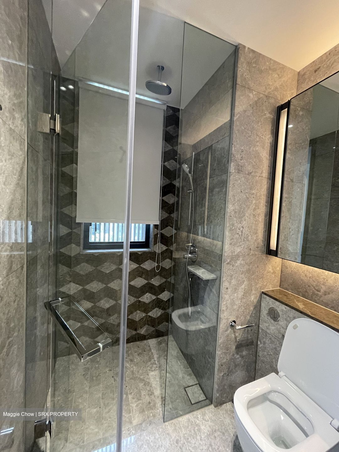 Leedon Green (D10), Condominium #432216641